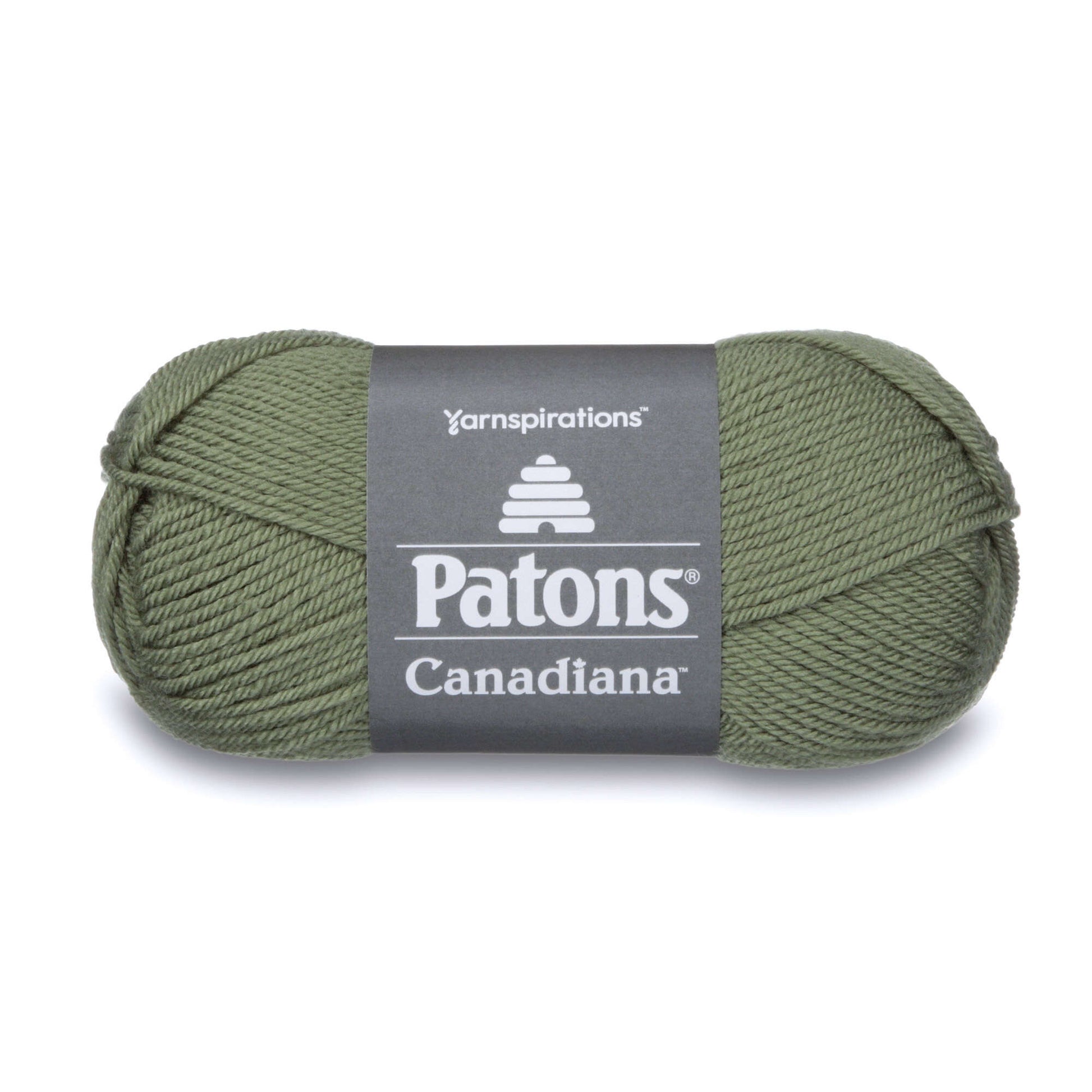 Patons Canadiana Yarn Medium Green Tea