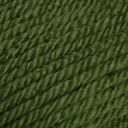 Patons Canadiana Yarn - Discontinued Shades Cedar Green