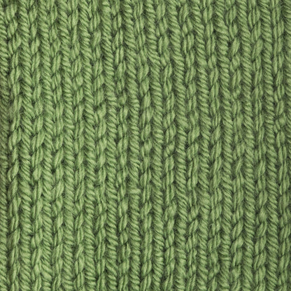 Patons Canadiana Yarn - Discontinued Shades Cedar Green