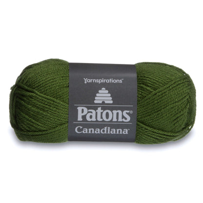 Patons Canadiana Yarn - Discontinued Shades Cedar Green