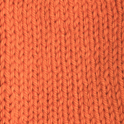 Patons Canadiana Yarn - Discontinued Shades Tangy