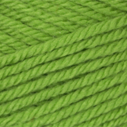 Patons Canadiana Yarn - Discontinued Shades Lime Juice