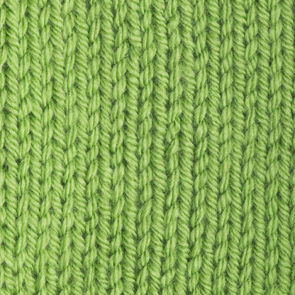 Patons Canadiana Yarn - Discontinued Shades Lime Juice