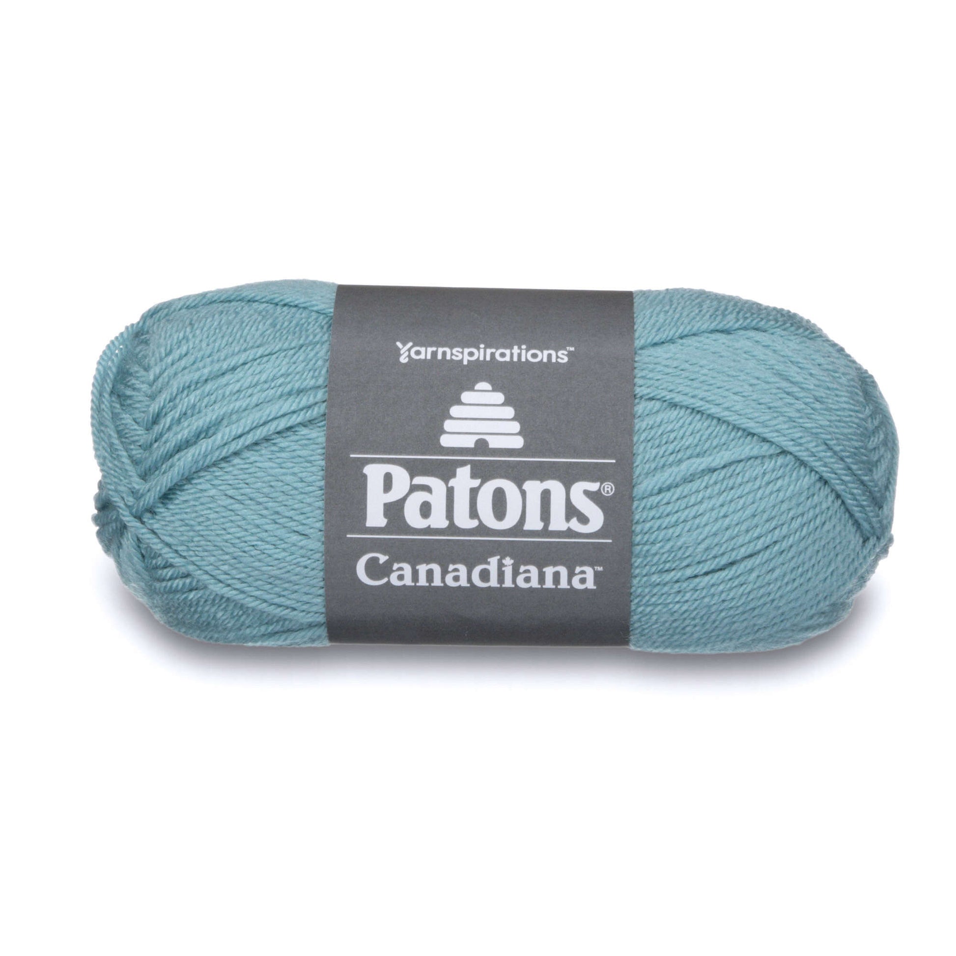 Patons Canadiana Yarn Pale Teal