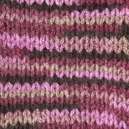 Patons Canadiana Variegates Yarn - Discontinued Shades Rosewood Variegated
