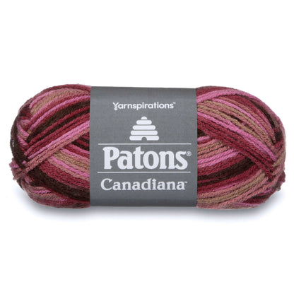 Patons Canadiana Variegates Yarn - Discontinued Shades Rosewood Variegated