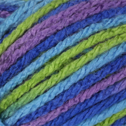 Patons Canadiana Variegates Yarn - Discontinued Shades Happy Camper Variegated