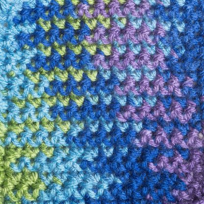 Patons Canadiana Variegates Yarn - Discontinued Shades Happy Camper Variegated