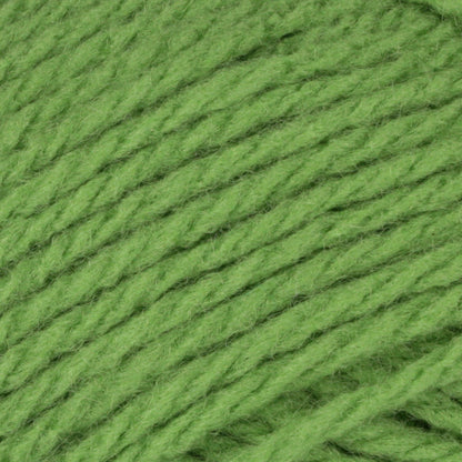 Patons Astra Yarn - Discontinued Shades Sprout