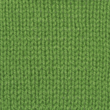 Patons Astra Yarn - Discontinued Shades Sprout