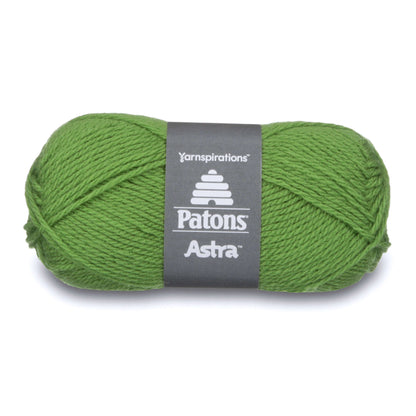 Patons Astra Yarn - Discontinued Shades Sprout
