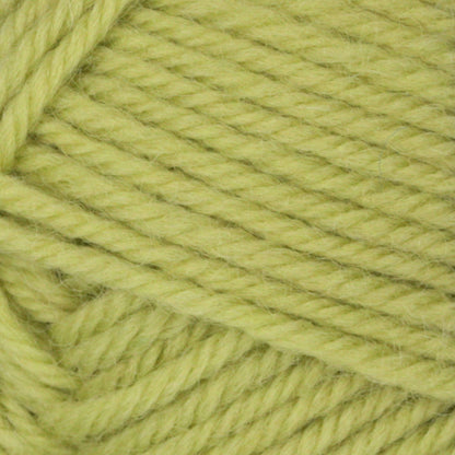 Patons Classic Wool DK Superwash Yarn - Discontinued Shades Apple Green
