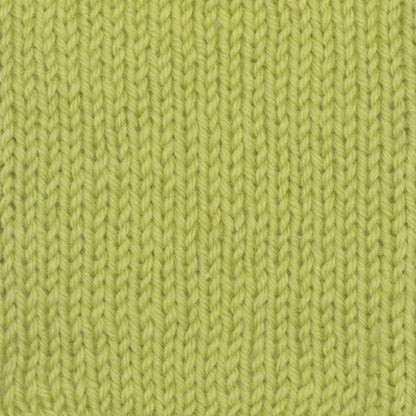 Patons Classic Wool DK Superwash Yarn - Discontinued Shades Apple Green