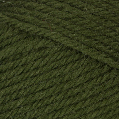 Patons Classic Wool DK Superwash Yarn - Discontinued Shades Green