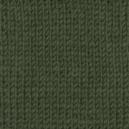 Patons Classic Wool DK Superwash Yarn - Discontinued Shades Green