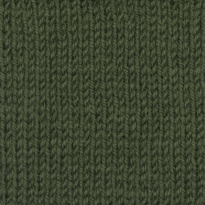 Patons Classic Wool DK Superwash Yarn - Discontinued Shades Green