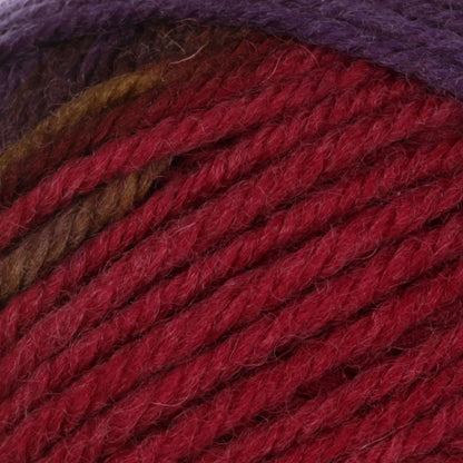 Patons Classic Wool DK Superwash Yarn - Discontinued Shades Autumn Spice