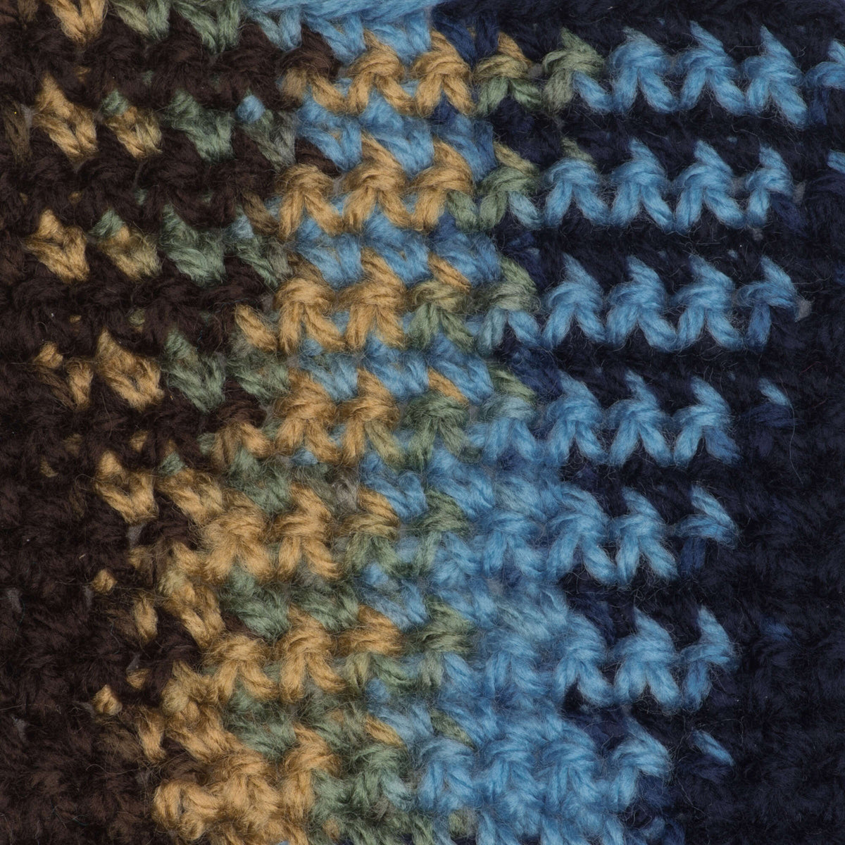 All That Boy Variegated