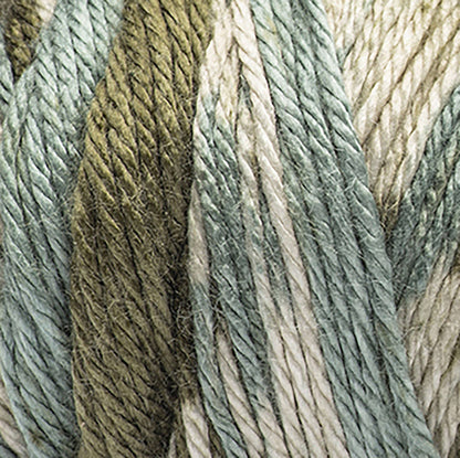 Caron Simply Soft Freckle Stripes Yarn Moss