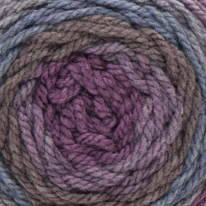 Caron Tea Cakes Yarn - Discontinued Shades Winterberry