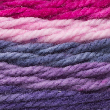 Caron Chunky Cupcakes Yarn - Discontinued Blackberry Sorbet