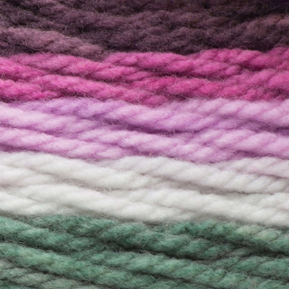 Caron Chunky Cupcakes Yarn - Discontinued Grapesicle