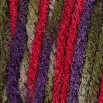 Caron Jumbo Yarn - Discontinued Shades Perennial Variegate