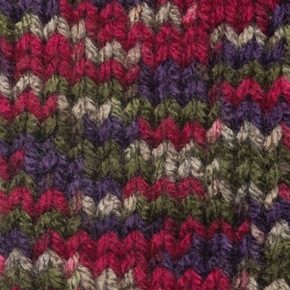 Caron Jumbo Yarn - Discontinued Shades Perennial Variegate