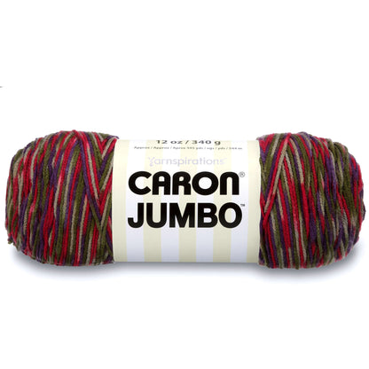 Caron Jumbo Yarn - Discontinued Shades Perennial Variegate