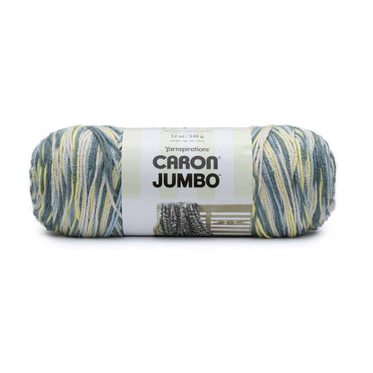Caron Jumbo Yarn - Discontinued Shades Spring Meadows