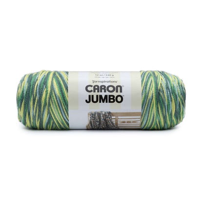 Caron Jumbo Yarn - Discontinued Shades Lemon Grove