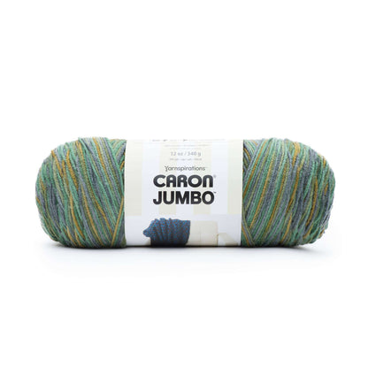 Caron Jumbo Yarn - Discontinued Shades Bronze Forest