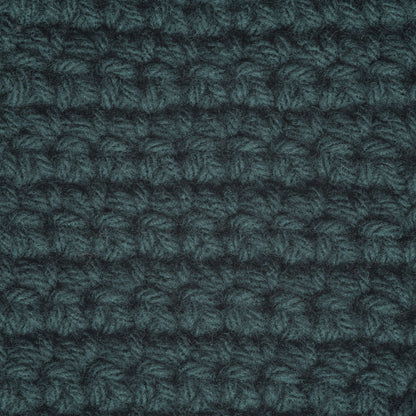 Caron One Pound Yarn - Discontinued Shades Forest Green