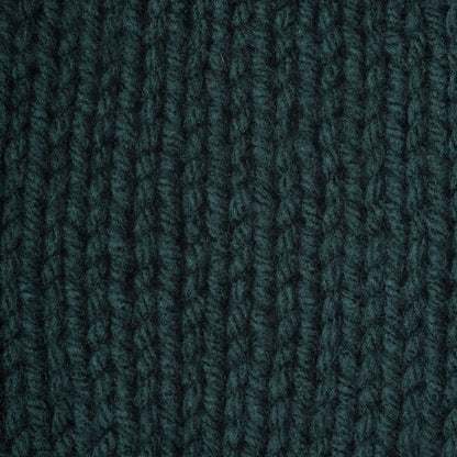 Caron One Pound Yarn - Discontinued Shades Forest Green