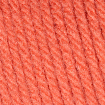 Caron One Pound Yarn - Discontinued Shades Persimmon