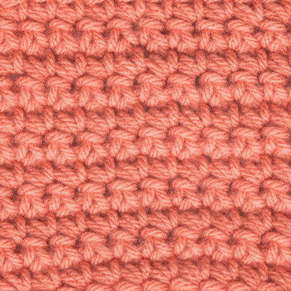 Caron One Pound Yarn - Discontinued Shades Persimmon