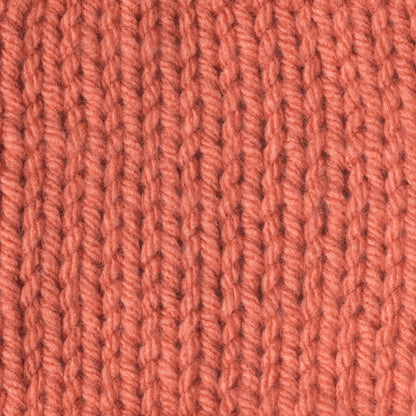 Caron One Pound Yarn - Discontinued Shades Persimmon