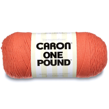 Caron One Pound Yarn - Discontinued Shades Persimmon
