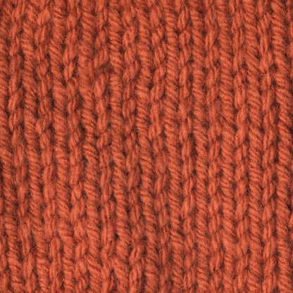 Caron One Pound Yarn - Discontinued Shades Pumpkin