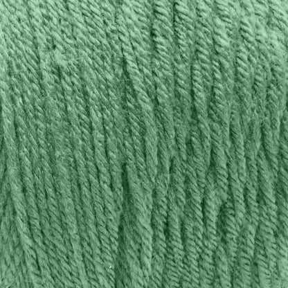 Caron One Pound Yarn - Discontinued Shades Grassy Meadow