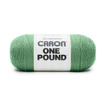 Caron One Pound Yarn - Discontinued Shades Grassy Meadow