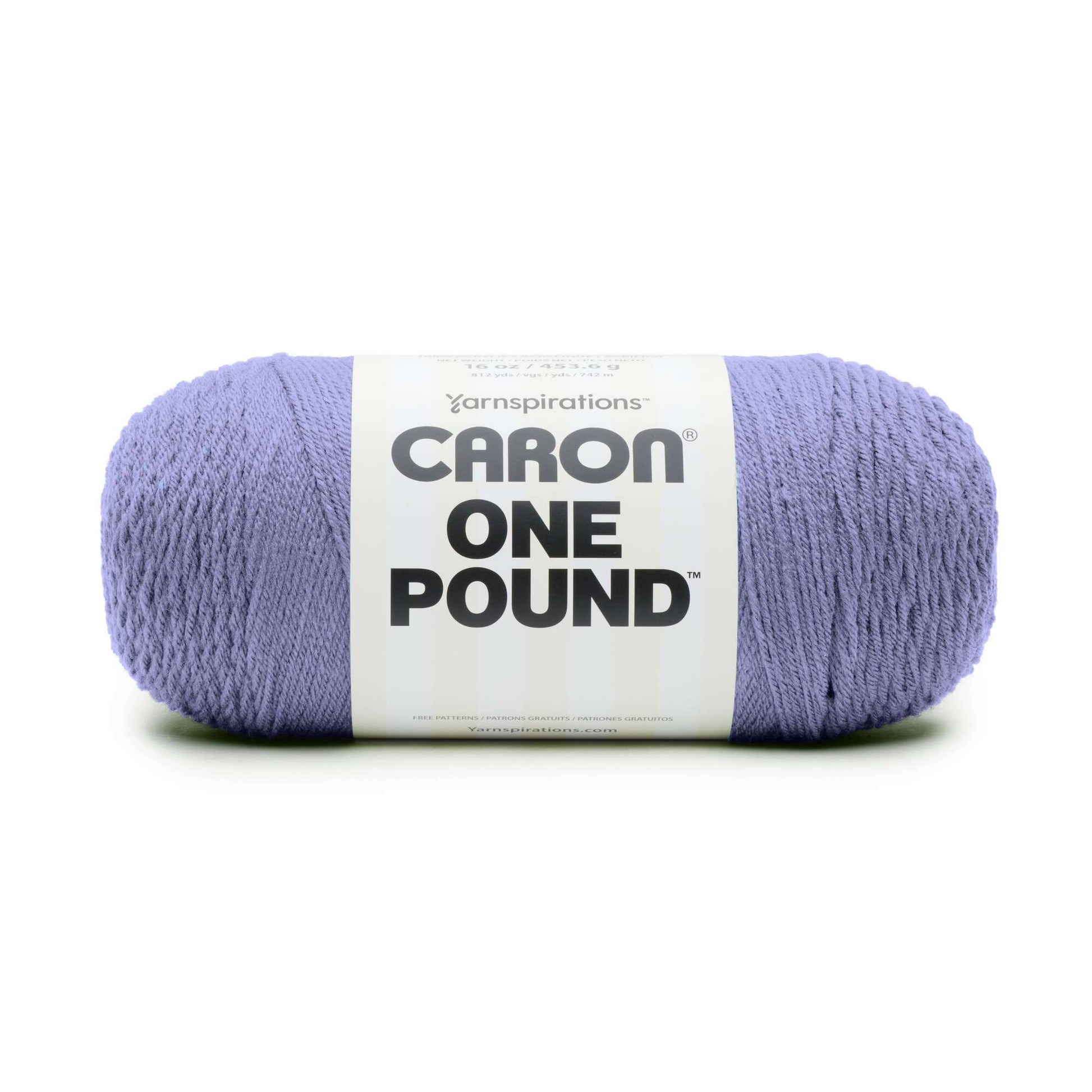 Caron One Pound Yarn 16 oz 4 PLY Acrylic 10622 Aqua No Dye Lot 1 Skein Knit  NEW