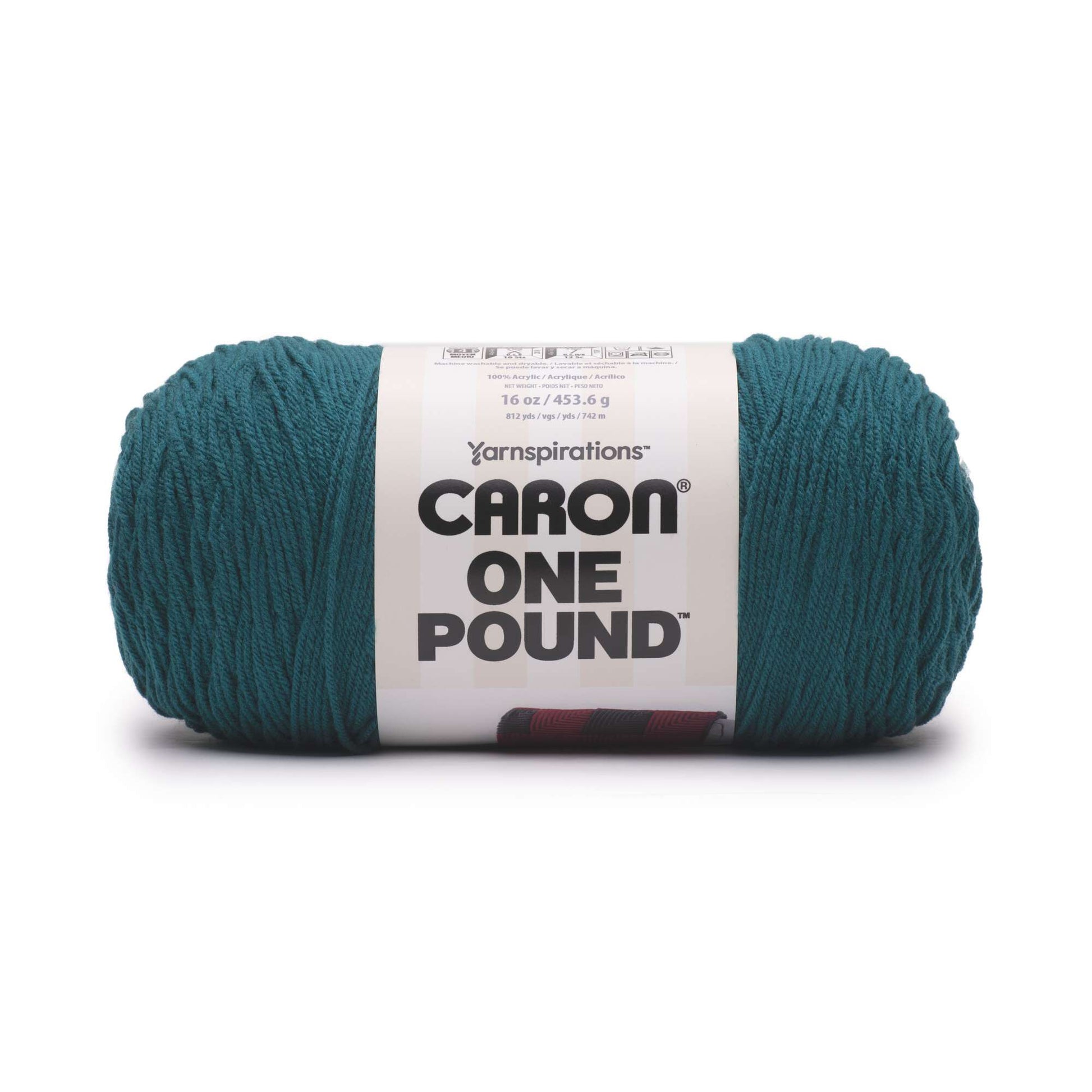 Help me ID this yarn please! It is a skein of Caron One Pound. Originally  purchased ~April 2020 but lost the label. Not soft sage, pale green, sky  blue, or azure. Looks