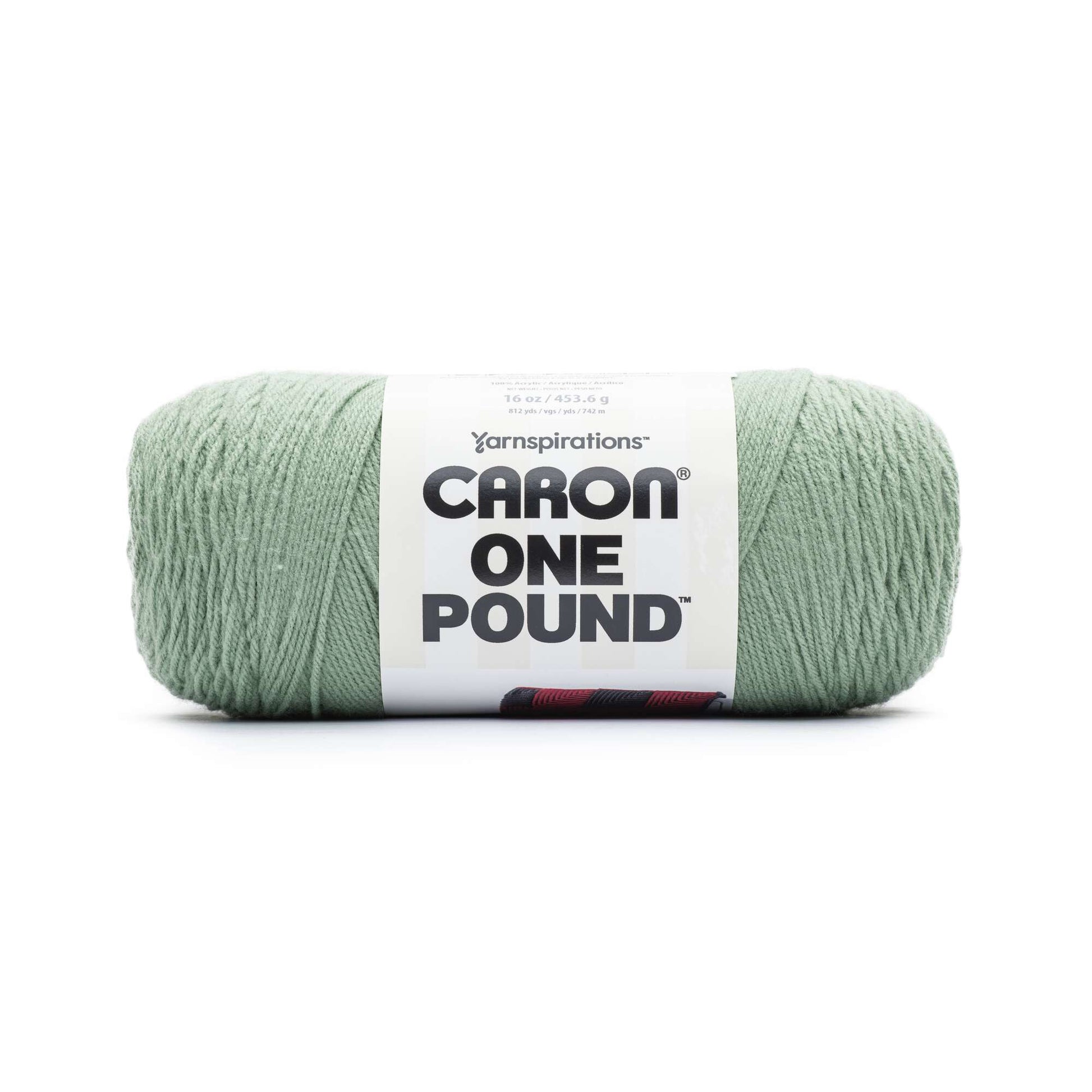 Caron One Pound Yarn Succulent