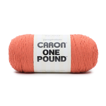 Caron One Pound Yarn Light Terracotta