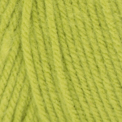 Caron One Pound Yarn - Discontinued Shades Limeade