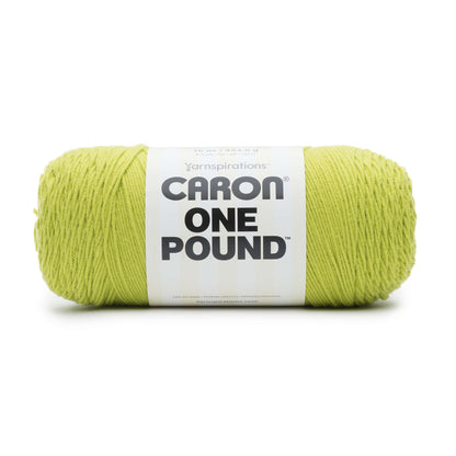Caron One Pound Yarn - Discontinued Shades Limeade