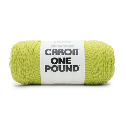 Caron One Pound Yarn - Discontinued Shades Limeade