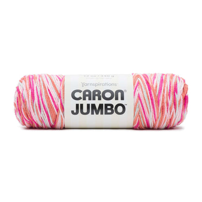 Caron Jumbo Yarn - Discontinued Shades Spicy Ombre