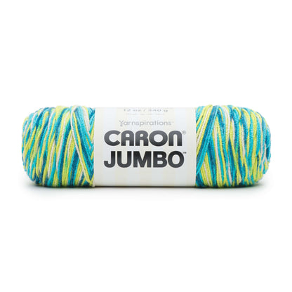 Caron Jumbo Yarn Seaside Ombre